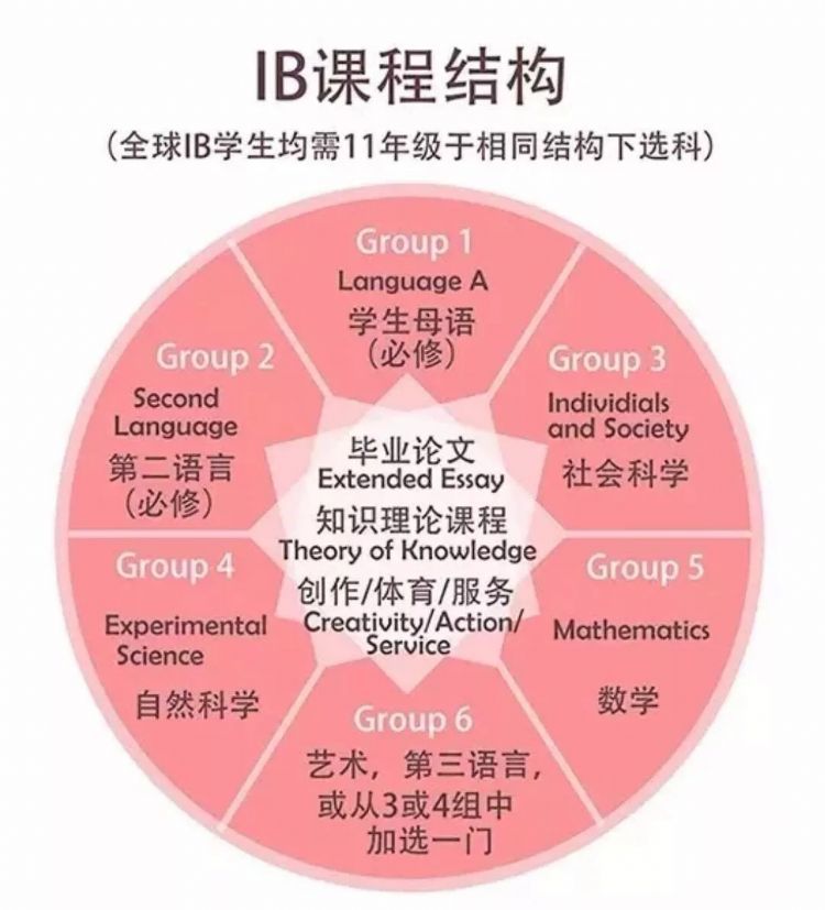 ib历史课程难吗 如何学好ib历史课程