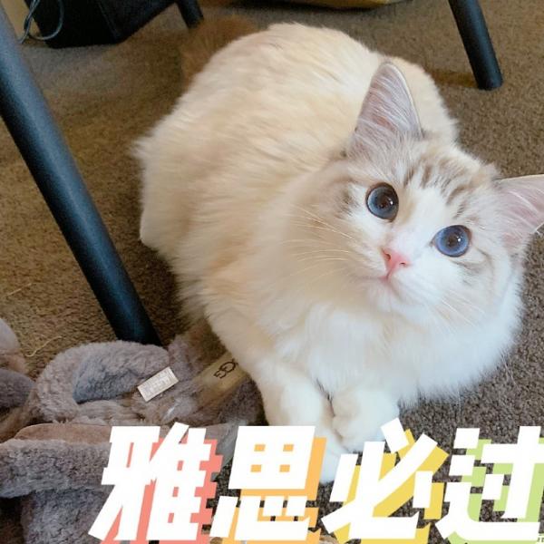雅思词汇测量需要多少 雅思词汇量怎么提高