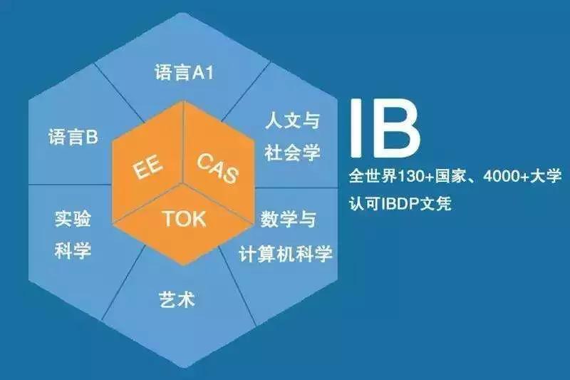 ib的tok和ee评分标准