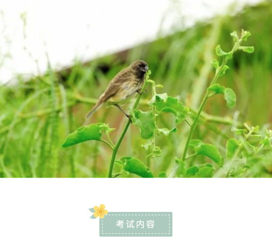 广西igcse生物辅导