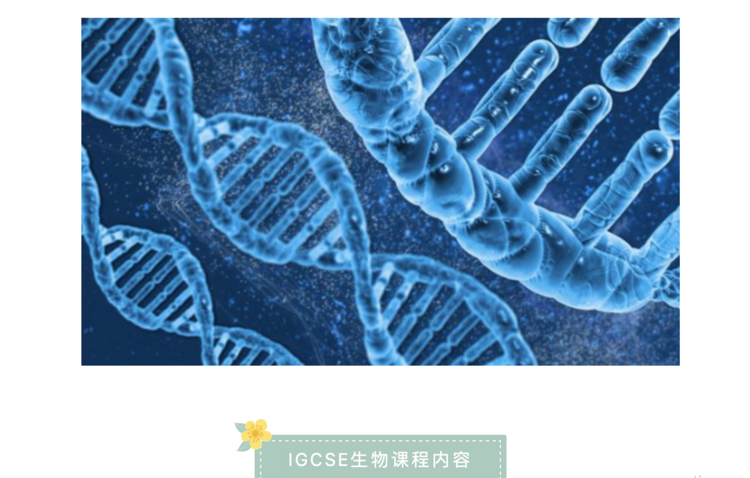 甘肃igcse生物培训内容有哪些？igcse生物需要做哪些实验？