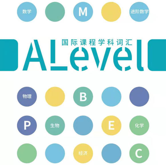 alevel商务一对一