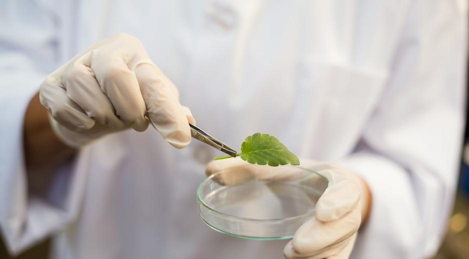 igcse生物衔接班