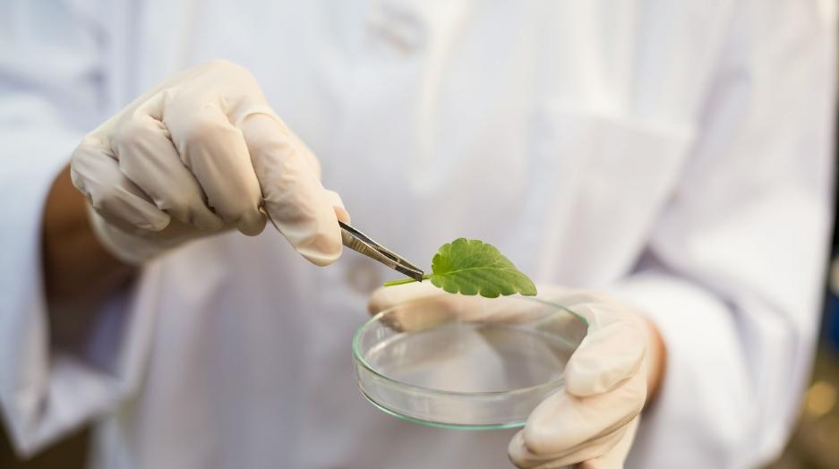 igcse生物线上课程应该怎么去学习