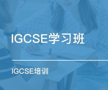 igcse计算机考试
